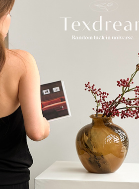 TEXDREAM织梦 琥珀肌理花瓶 侘寂客厅玄关玻璃花瓶中古风装饰摆件