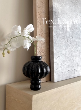 Texdream织梦 ins高级感玻璃花瓶客厅艺术插花摆件鲜花水培器皿