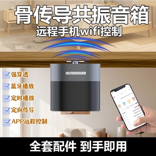 骨传导共振音箱APP远程控定时强穿透大功率遥控无线wifi蓝牙音响
