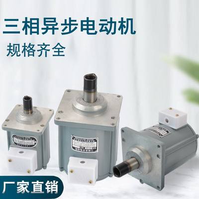 三相异步电动机YDT-80W 100W 120W 140W 250W 抱闸制动器微型电机