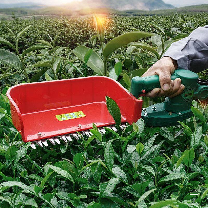 山东工厂现货小型采茶机 新款20a耐用手持锂电池茶叶收割机