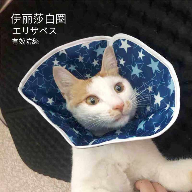 新款直销伊丽莎白圈猫项圈脖套猫防舔圈猫咪宠物套头罩星星保护圈,宠物/宠物食品及用品,宠物伊丽莎白圈,淘宝优惠券,粉丝福利购,淘宝优惠卷