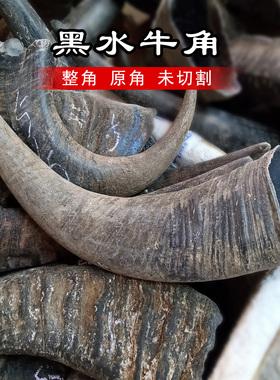 黑水牛角原材料整角DIY摆件毛料实心牛角尖弹弓号角印章珠子板料