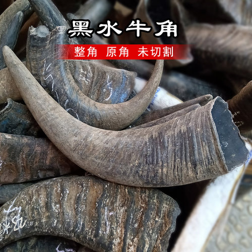 黑水牛角原材料整角DIY摆件