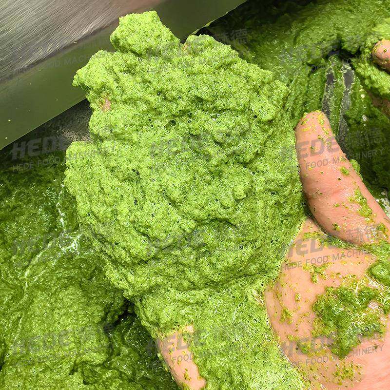 芹菜榨汁打浆机果蔬螺旋压榨脱水机菠萝苹果榨汁机,清洗/食品/商业设备,果蔬加工设备,淘宝优惠券,粉丝福利购,淘宝优惠卷