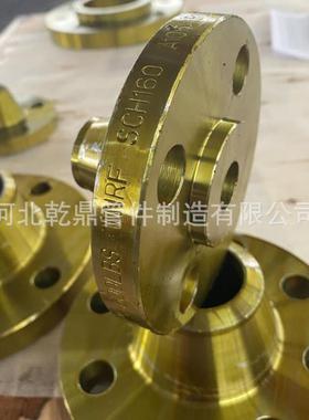 出口外贸法兰 带颈对焊 环松套法兰 德标 板式法兰 锻造法兰