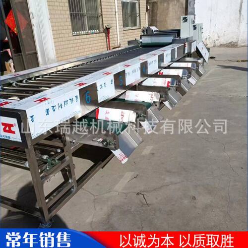 大型青红彩椒分选机 商用山楂果分级选果机 工业瓜果滚杠式筛选机