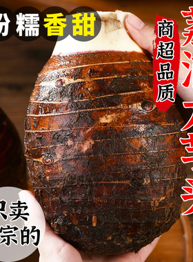 广西荔浦新鲜大芋头10斤整箱小芋头旗舰店正宗槟榔芋现挖毛芋头5