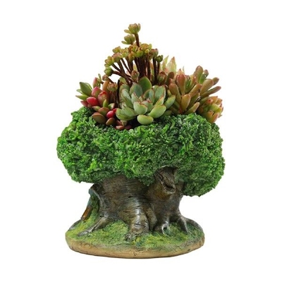 Succulent Flower Pot Creative Garden Pots Creative