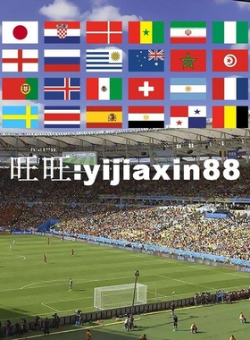 Hand held flags with poles 32 Countries Small Hand National