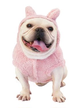 Cute Rabbit Ears Hooded Winter Warm Dog Clothes Fleece Pet