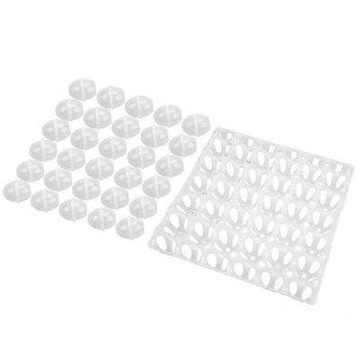 Eggs Making Model Eggshell + Egg Tray Model High