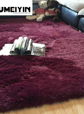 The Living room tea  floor mat bedroom full bed blanke