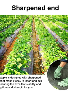 Home Nail Pins Pegs Securing Stainless Steel Stakes Staples