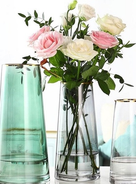 Light colour T luxury contracted transparent glass vase