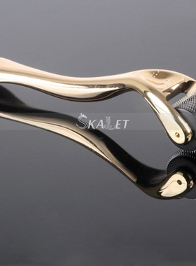 DRS540 Hot Hair Restoration Itanium Microneedle Derma Rolle