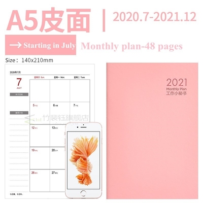 Notebook Planner Agenda 2020 2021 Daily Weekly Monthly  Jour