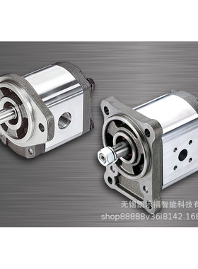 2GG1P27R,2GG1P33R价格 动力单元油泵 举升机油泵 液压系统油泵