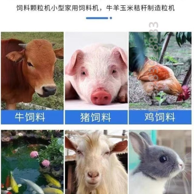 颗粒饲料机玉米草粉造粒养殖鸡鸭鹅鱼兔牛羊饲料造粒机