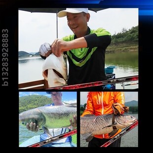 领路人刺客极轻量大物鱼竿手杆超轻超硬大物杆鲢鳙鱼竿碳素钓鱼竿