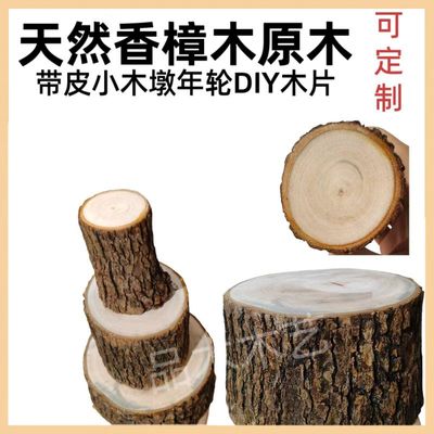 香樟木小木墩DIY原圆木片底坐