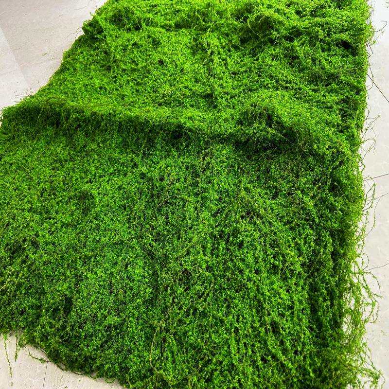 仿真苔藓青苔草坪地毯草皮雨淋缸植物假山石头园林室内外地面铺面
