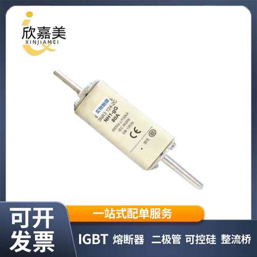 3NA3 124-2C  3NA3 230 快速熔断器  保险丝 电子元器件 量大价优