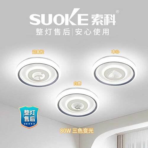 全光谱led灯阳台卧室厨房过道现代简约三防吸顶灯