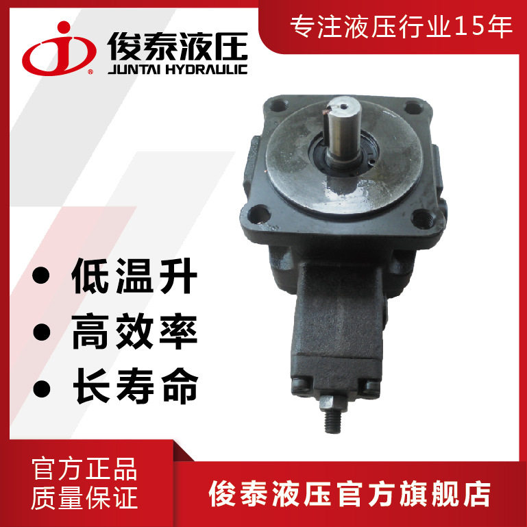 广东俊泰低压变量叶片泵油压用