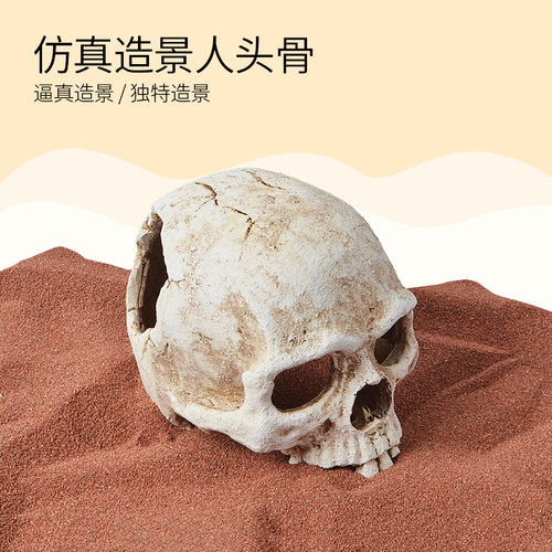 速发爬宠骷髅头骨洞避躲窝水蜴蛇守宫爬虫箱乌龟鱼缸蜥族造景装饰