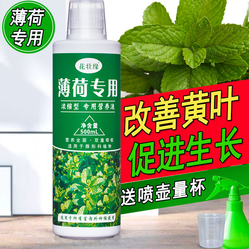 速发薄荷肥料营盆肥薄荷草肥料猫薄荷水土培有机液复合肥养栽花肥