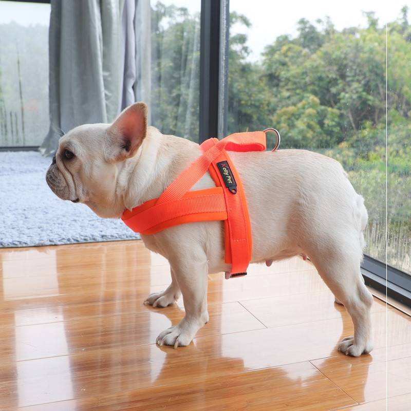 速发Lumious dos lgh dog rope vest chest type diuized