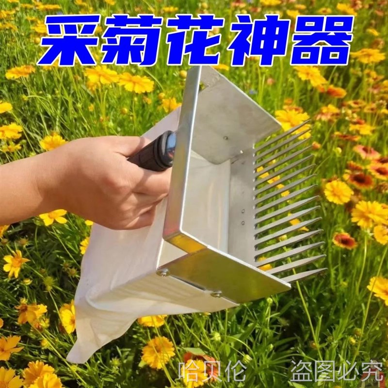 速发菊花撮子采花摘果神器采野菊花机器野菊花油茶籽胎摘菊花工具