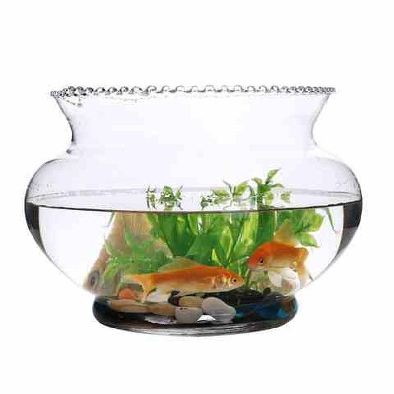 速发创意水族箱缸态圆边花形形玻璃生乌龟缸迷你小型造景水培花瓶