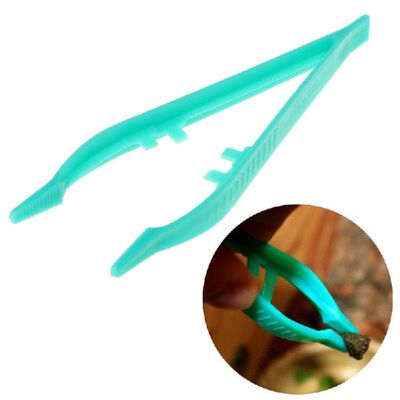 速发 Reptile Feedig Twes p lrs PPast Feeder