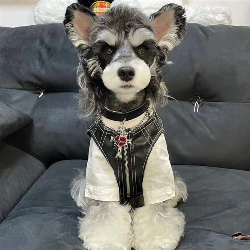 速发衣服潮酷机车外套马甲夹克雪纳瑞泰迪柴犬比熊西高地马尔