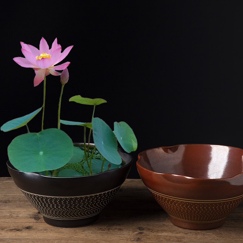 速发水铜草花盆水仙花盆睡莲碗莲无孔金钱陶瓷钱养水培多肉盆大号