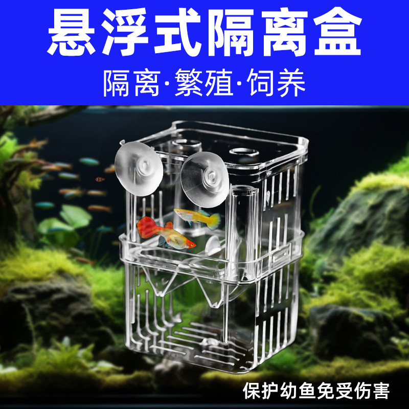速发孔雀鱼繁殖盒幼鱼鱼隔隔离斗鱼鱼苗产卵器热带鱼亚克力缸离孵