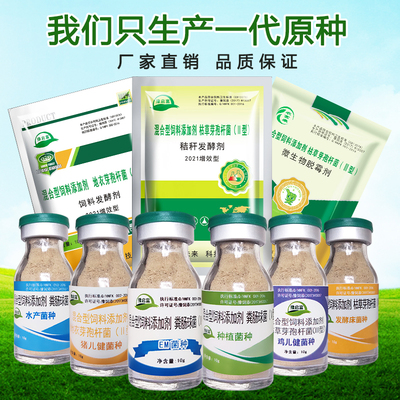 速发em菌种养殖水原农植种用禽用养鸡兽用养猪em菌产种菌粉