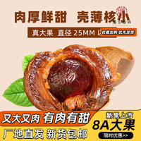 膳言膳语桂圆干8A大果头茬500gX2袋龙眼干新货非无核2斤养生泡茶