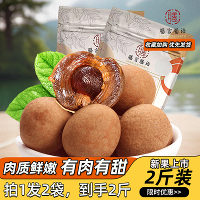 膳言膳语头茬桂圆干500g*2袋龙眼肉干货批发泡茶水2025新果非特级