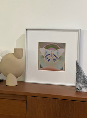 Metamorphose 蝴蝶视觉艺术北欧简约卧室书房挂画玄关桌面装饰