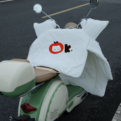 四季通用电瓶摩托车双面防水新款