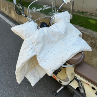 电动车挡风被冬季加厚防风罩电瓶车防雨电瓶摩托车2024新款通用