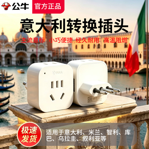 公牛意大利标转换器插头