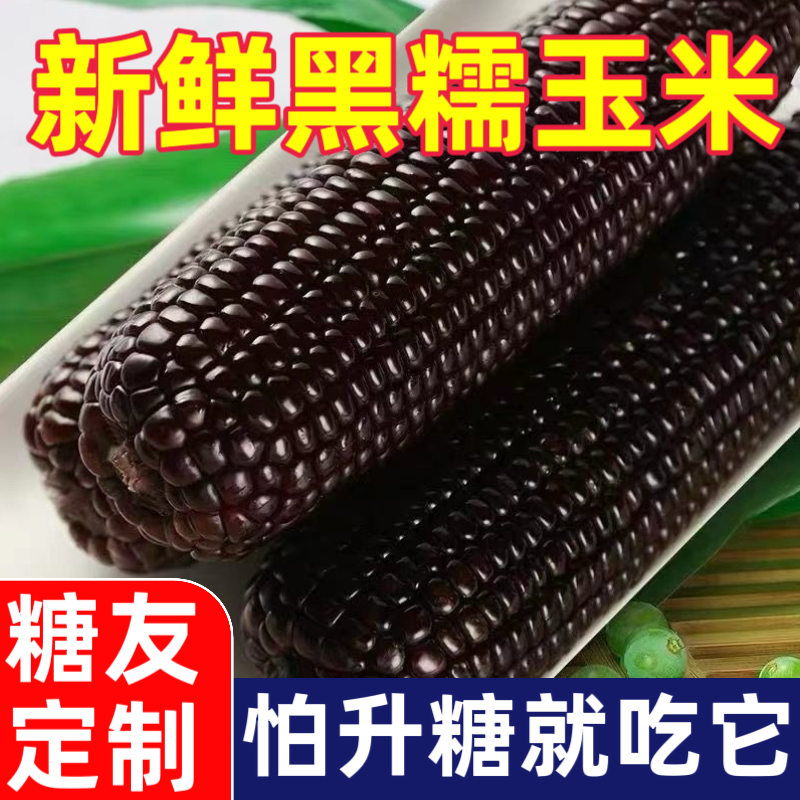 糖尿人专用食品真空包装黑糯玉米新鲜现摘黏粘甜玉米棒粒糖友代餐