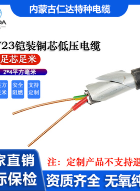 国标铜芯WDZCN-YJY23 低烟无卤阻燃聚乙烯护套铠装低压电力电缆