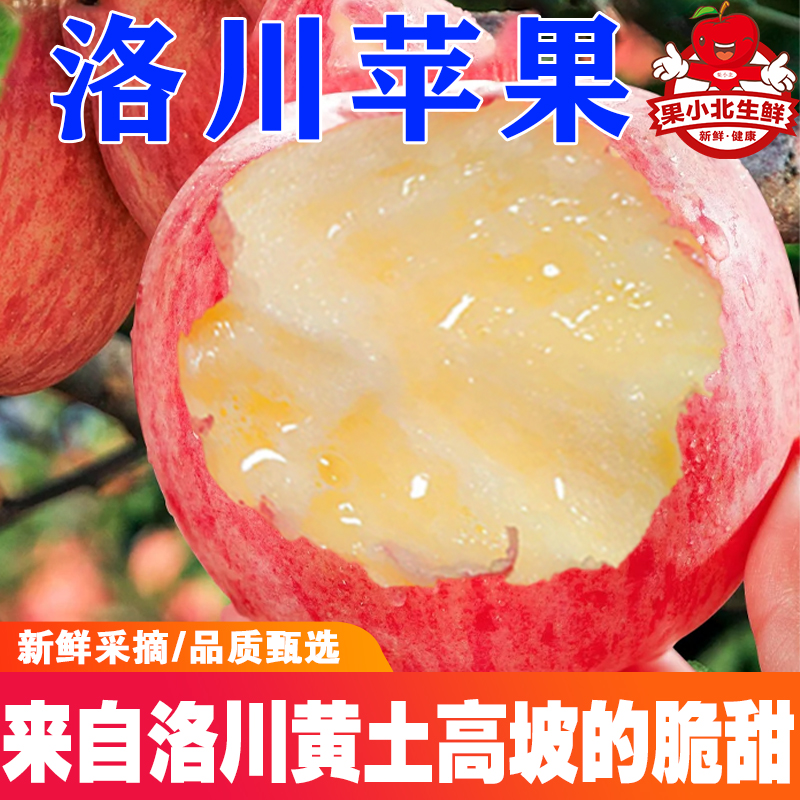 陕西洛川红富士苹果脆甜精品大果