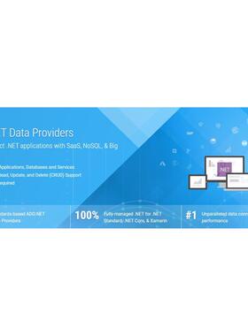 Cdata ADO.NET Provider v24.x