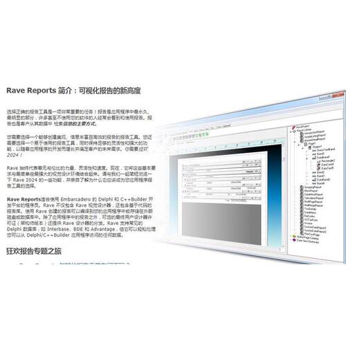 Rave Reports 2024 是一套适用于 Delph